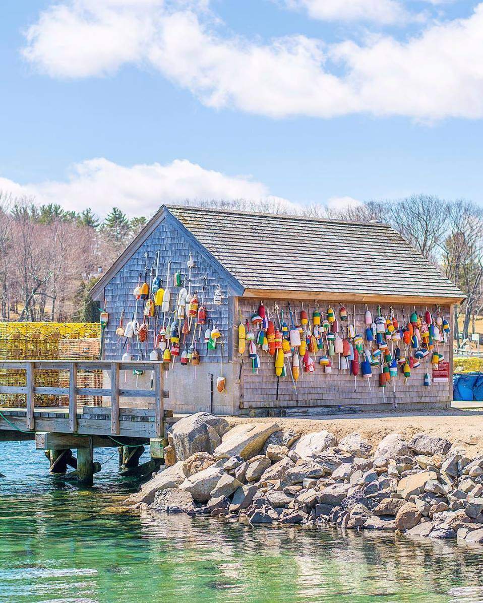 Colorful lobster buoys hanging on a weathered Maine fishing shack by the water